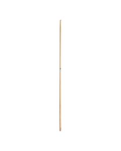 Manche Brosse 140cm frene