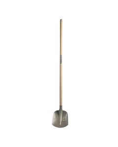 Pelle sable 0 (br) blank m/frene