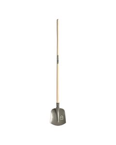 Pelle sable 00 (br) blank m/frene